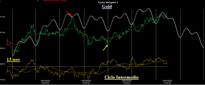 Ciclo Intermedio Gold