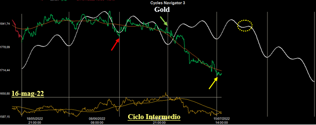 Ciclo Intermedio Gold