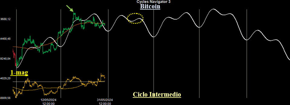 Ciclo Intermedio Bitcoin
