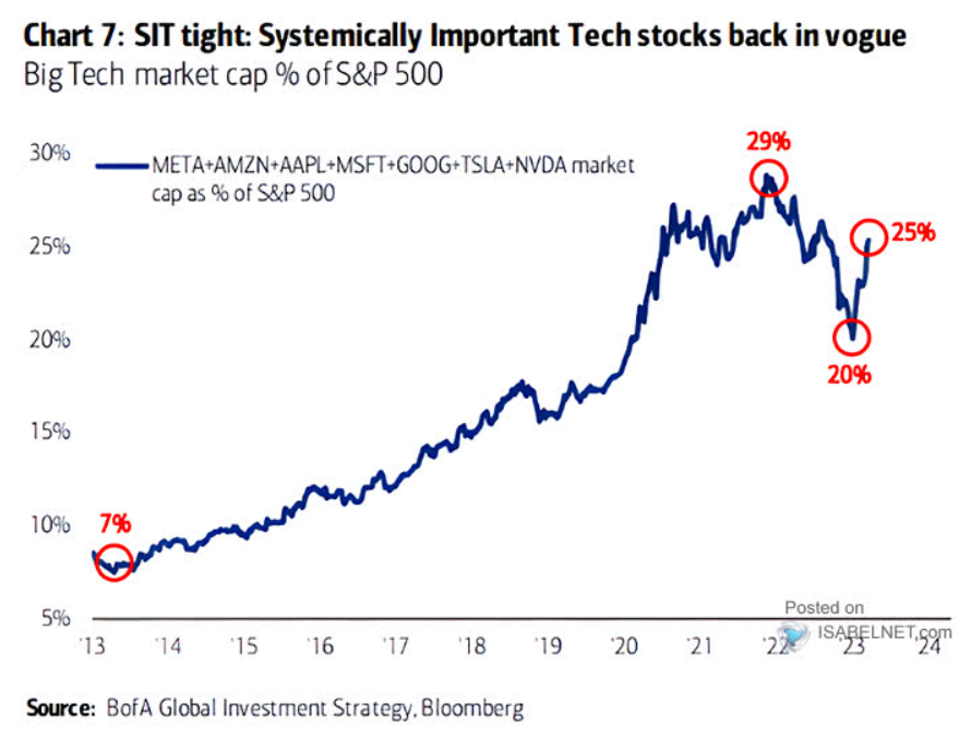 % Big Tech all'interno dell'S&P500