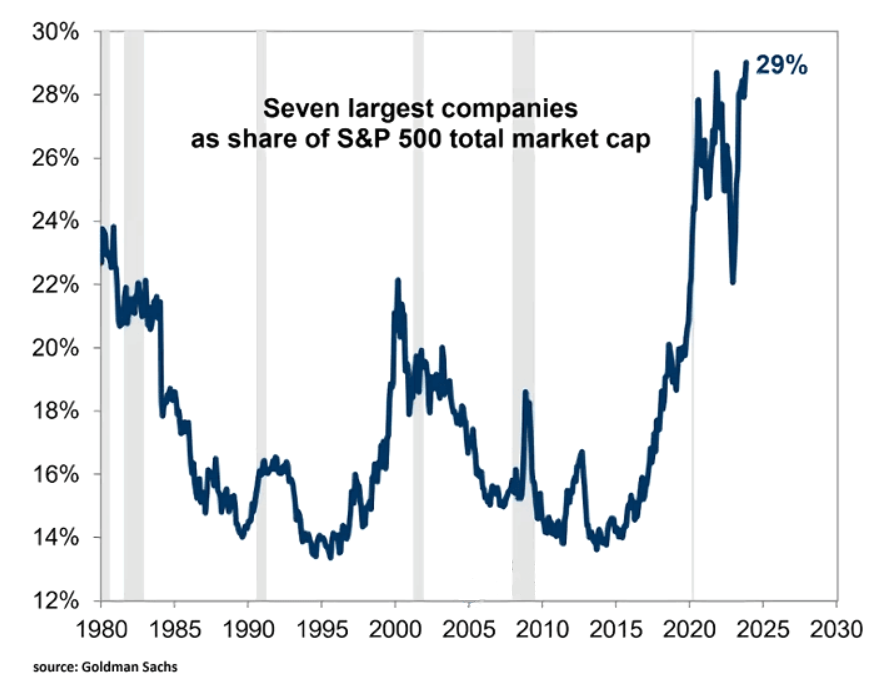 Magneficient 7 Share of S&P 500