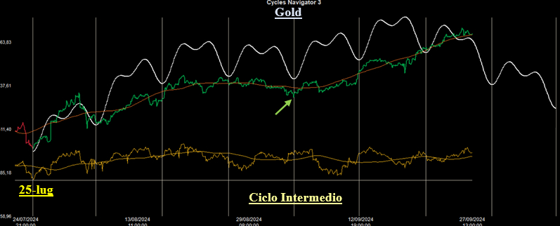 Ciclo Intermedio Crude Gold