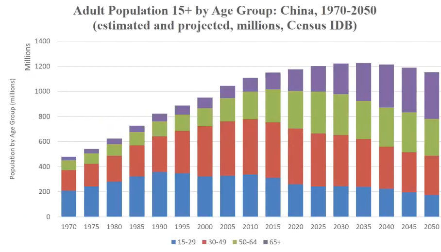 Popolazione adulta per gruppi di età in proiezione