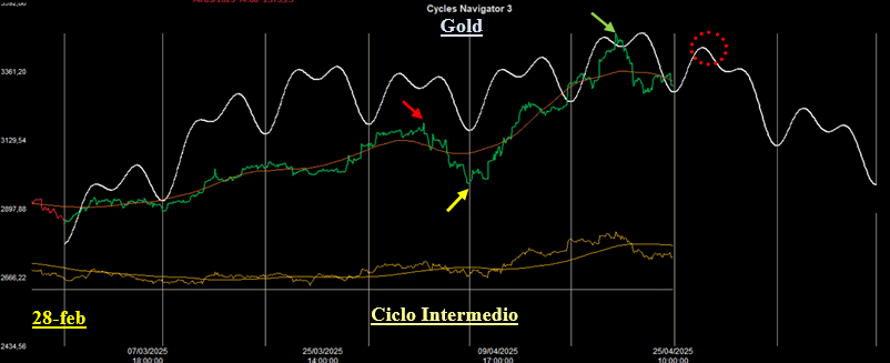 Ciclo Intermedio Gold Ciclo Intermedio Gold