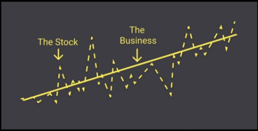 The Stock Vs. Business