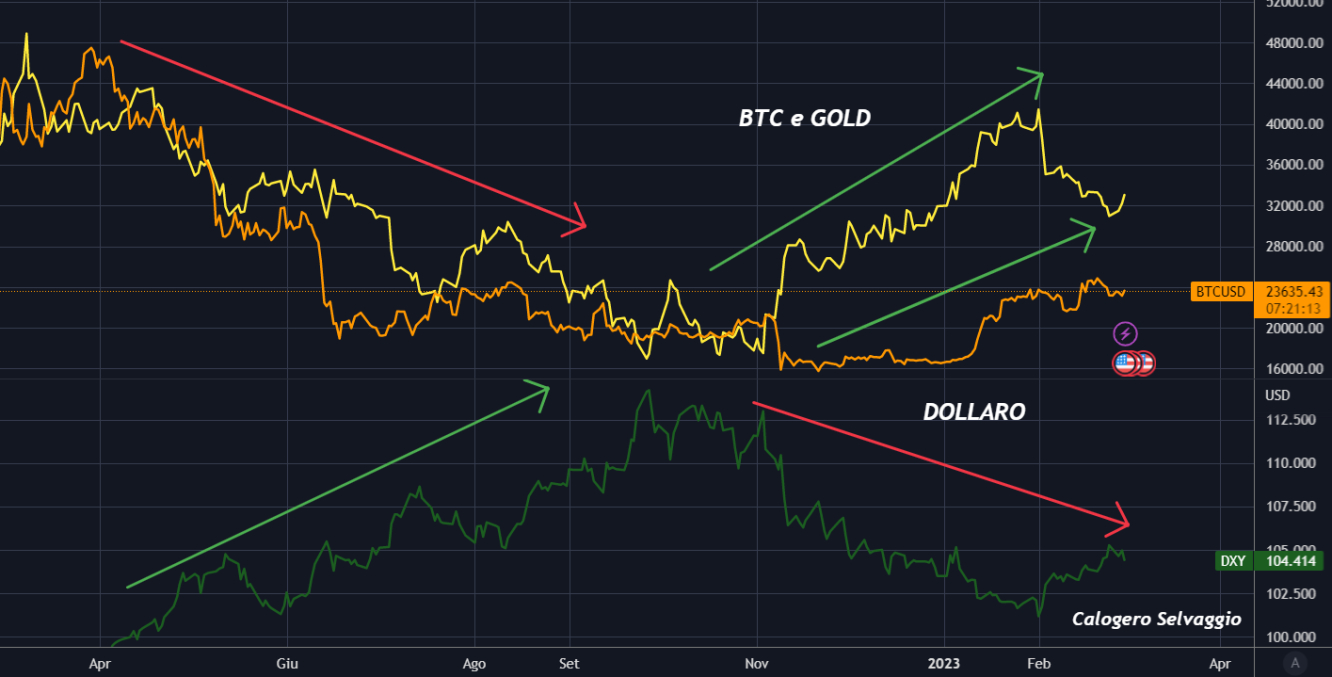 Btc vs Gold vs Dollaro