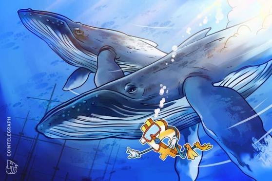 Le whale spostano quantità di BTC ‘da record’ mentre suona l’allarme sulla volatilità del prezzo