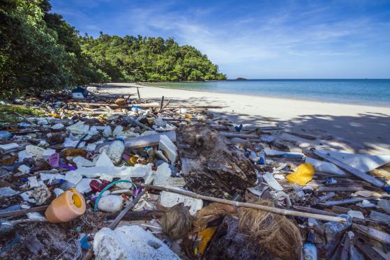 Un oceano di plastica rappresenta un problema anche per gli investitori