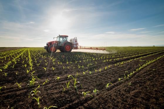 Generi alimentari e commodity agricole, un punto critico dei mercati emergenti